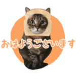 猫のすたんぷ。。。２