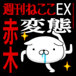 『赤木』お名前/変態特集