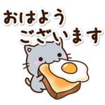 毎日元気な☆ちび灰色ねこ