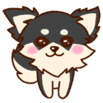 チワワと一緒 チワワ