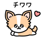 チワワしか勝たん