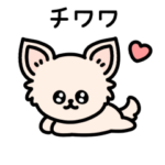 チワワしか勝たん