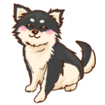 チワワと一緒 チワワ2