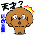 動く！トイプー「ほめ言葉」