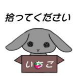 捨てられうさぎ