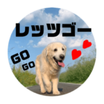 我が家のダンボ2