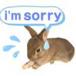 うさぎのダンボ