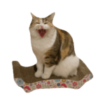 猫師匠スタンプ4