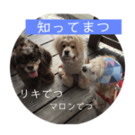 働き者のバムセ工場長と愉快な仲間