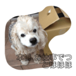 働きもののバムセ工場長のつぶやきその②