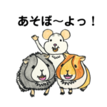 ダンボラットのぺぇちゃんと楽しい仲間たち