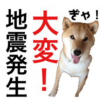 柴犬ダビデの災害用スタンプ