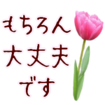 ▶︎花いつでも使えるセット