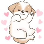 可愛いシーズー犬の日常会話