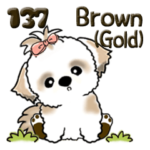 シーズー犬 137『brown-gold & white』