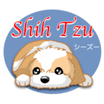 Shih Tzu シーズー