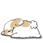 シーズー 日常会話 シンプル