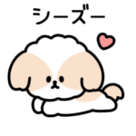 シーズーしか勝たん