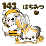 シーズー犬 143『はちみつ＆ミツバチ』