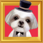 動く！ペットたち