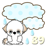 シーズー犬 89『いつもよく使う言葉』