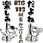 シーズー犬 113『縦長』着ぐるみ