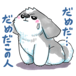 シーズー犬あうんのてんぽ♪Part2