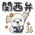 シーズー犬の関西弁36