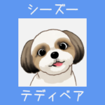 シーズー（テディベア）