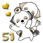 シーズー犬51『とりあえずこれがあれば？』