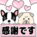 ペア　フレンチブルドックのブルちゃん