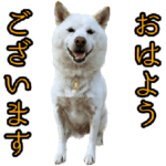 同じ言葉ばかり使うシニアの方へ