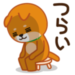 柴犬「ムサシ」４６　五月病