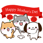 わちゃわちゃドッグ