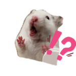 ハムぽこたちのくらし