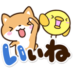 まめシバ×まるピヨ