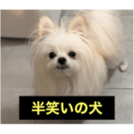 使いにくい字幕犬など2