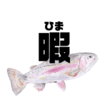 かまちょな魚たち