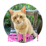田舎猫みかん　中国語
