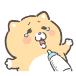 動く泣きむし子猫のキィちゃん