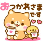 動く♡豆柴日和