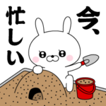 飛び出す! ドSうさぎちゃん6