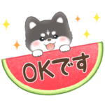 わんこの日常シベリアンハスキー編