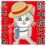 仔猫のぽんにゃん