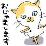 バレエネコちゃん2020