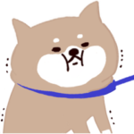 ◯SHIBAINUさん◯家族&友達連絡