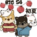 柴犬・ちゃちゃ丸たち 54『初夏』