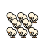 ▶︎動く！小さいヒヨコがいっぱい