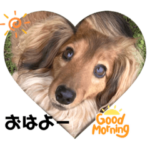 バディくんの可愛い日常スタンプ①