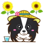 可愛いパピヨン 2 